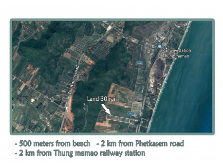 Terrain 30 Rai à vendre à 500 M de la mer à Tung Mamao
