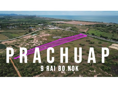 Terrain 9 rai 149 T.W. à vendre à Prachuap Khiri Khan