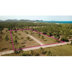 Terrain 6 rai à 400 m de la plage de Pranburi