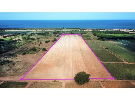 Land 30 rai 500 M from beach for sale in Tung Mamao