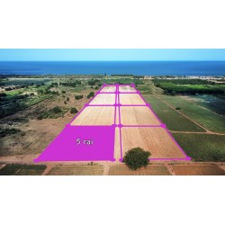 Plot 5 rai 500 M from beach for sale in Tung Mamao