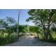 Land for sale in Hua hin Black Mountain