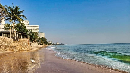 Hua hin beach with bird 18 jan 2024